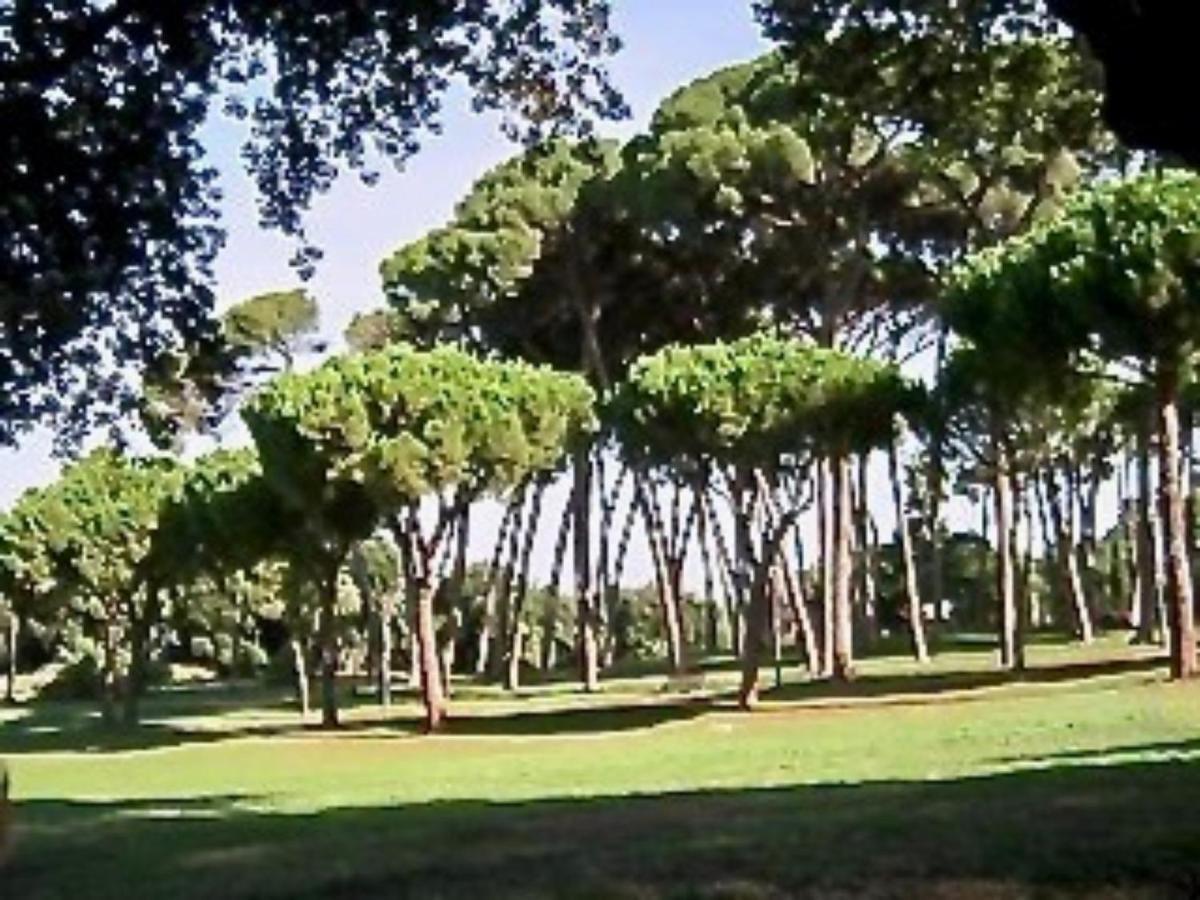 Gianicolo House Διαμέρισμα Ρώμη Εξωτερικό φωτογραφία
